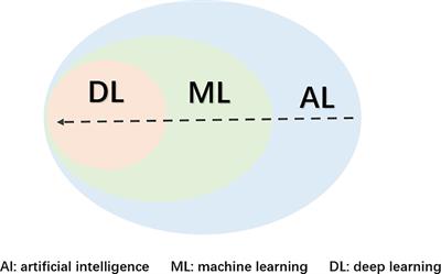 The application of traditional machine learning and deep learning techniques in mammography: a review